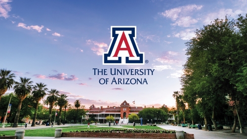 Онлайн образование в престижном University of Arizona!
